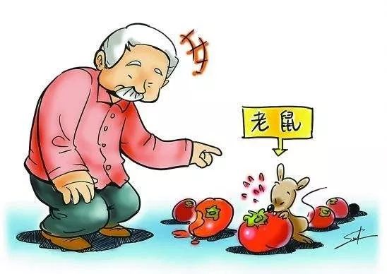 新澳天天开奖资料大全153期的警惕虚假宣传-定量解答解释落实