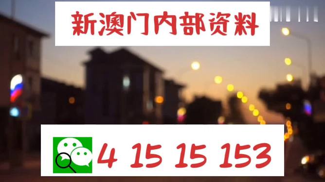澳门九点半公开资料仔细释义、解释与落实、定量解答解释落实