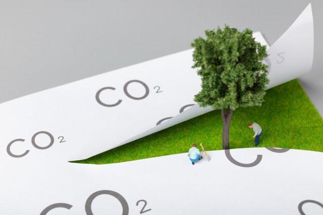 2025年新澳门天天开彩请全面2释义、解释与落实、科学解答解释落实