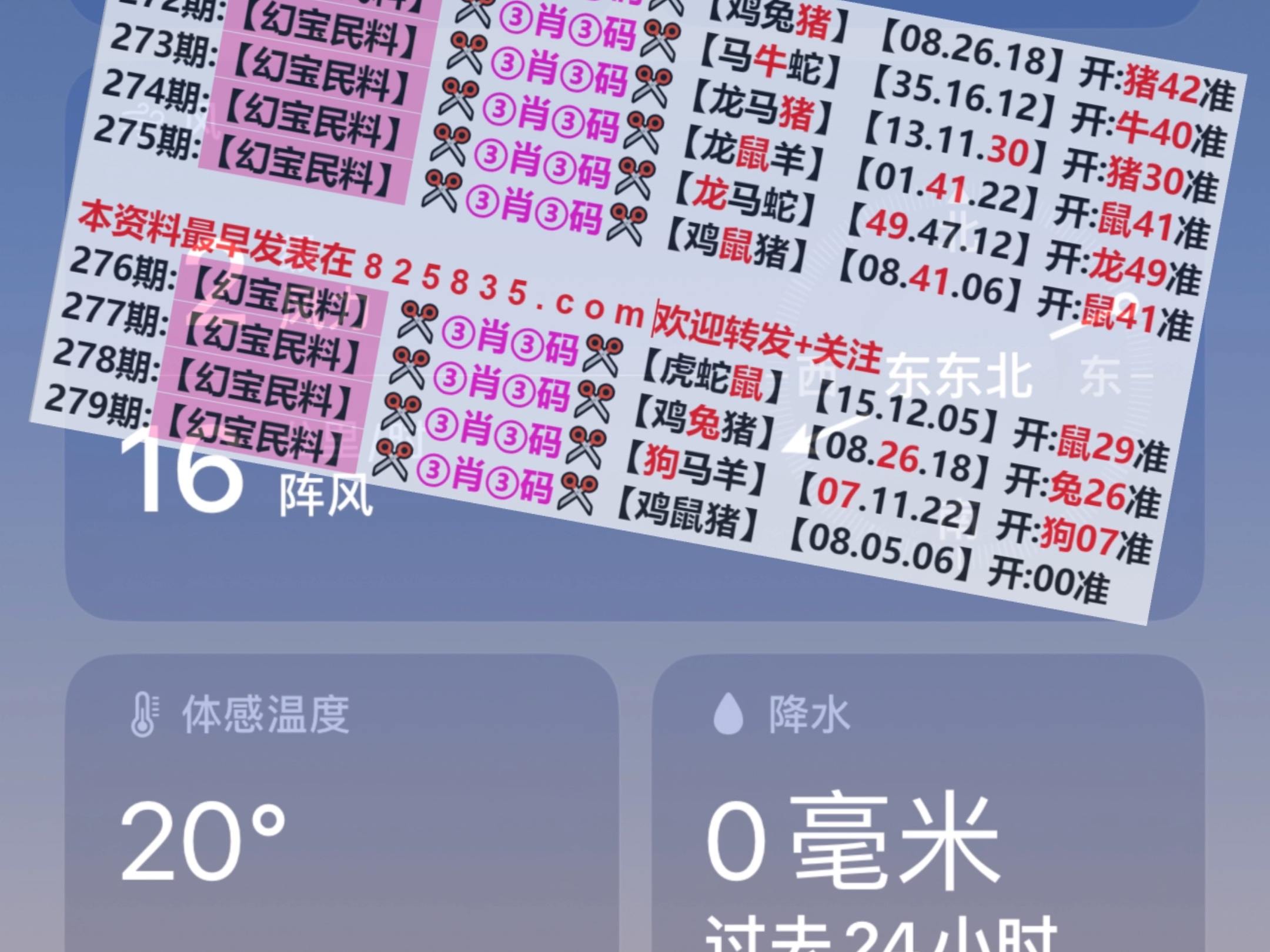 新奥门正版精准免费大全2025详细解答、解释与落实、构建解答解释落实