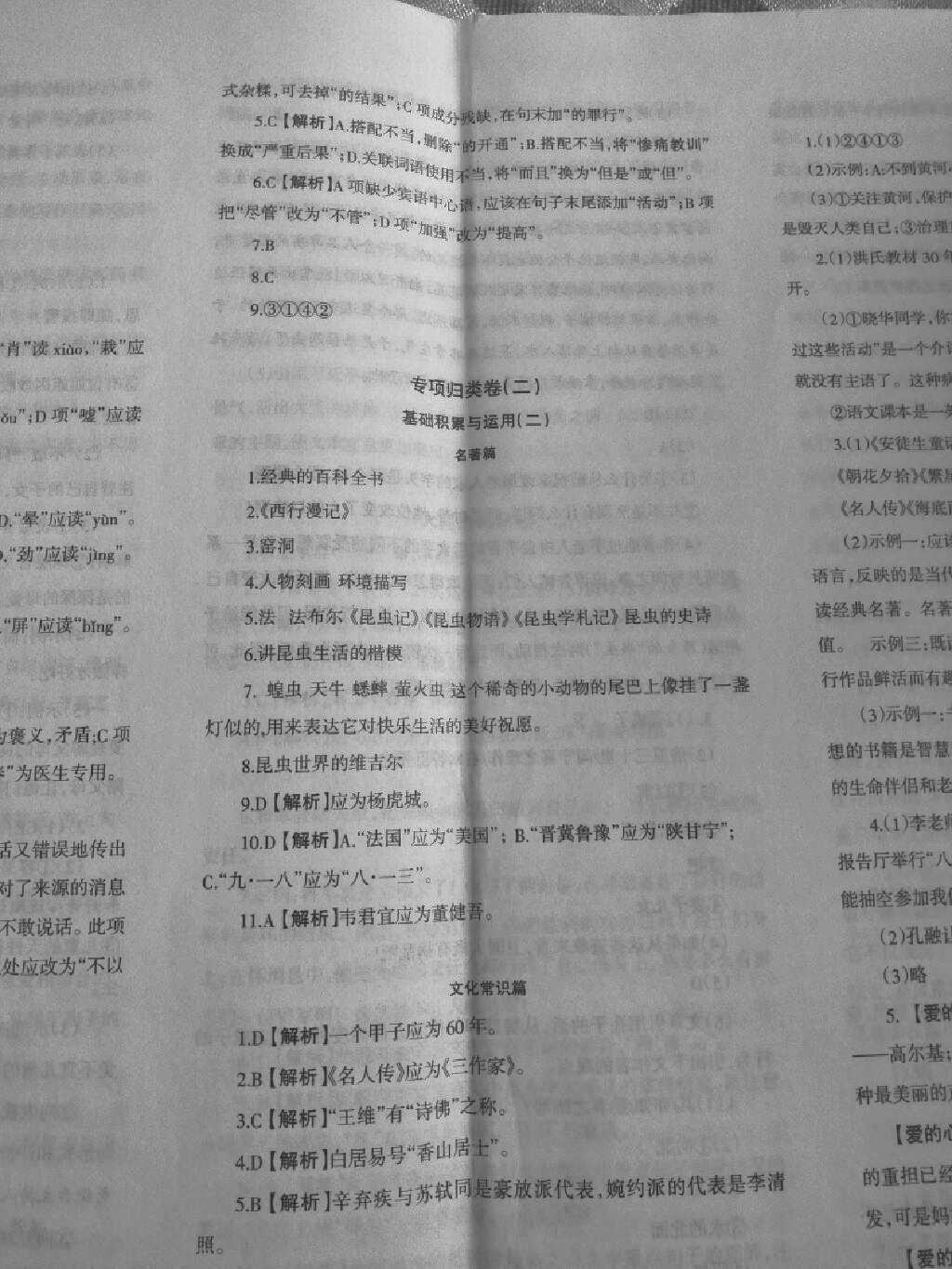 新澳门中特期期准警惕虚假宣传、全面解答与解释、精准解答解释落实