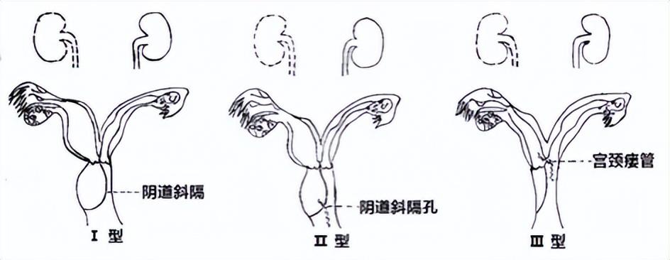 2025澳门六今晚开奖结果出来直播，详细解答、时代解答解释落实