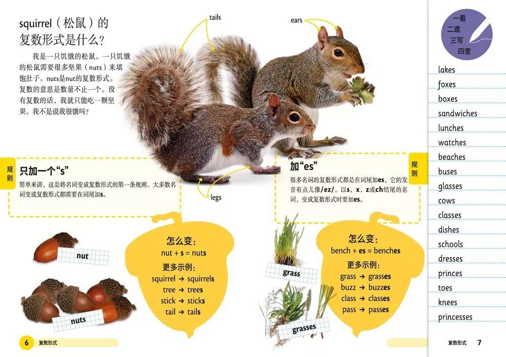 管家一肖100%准确，全面释义、专家解答解释落实