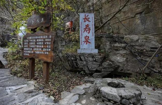 2025新奥最精准免费大全,警惕虚假宣传落实,精准解答解释落实