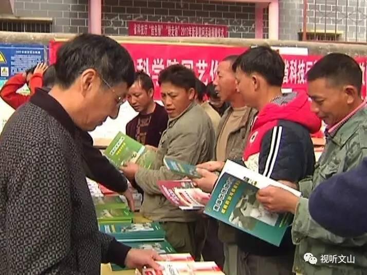 2025新澳门正版免费资本请全面2释义、解释与落实、深度解答解释落实