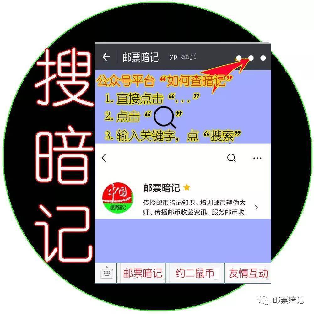 2025年今晚澳门特马开什么号码详细解答、实时解答解释落实
