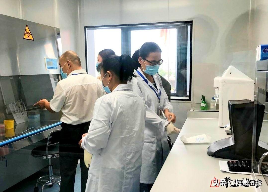 2025新澳六今晚资料警惕虚假宣传、全面解答与解释、定量解答解释落实