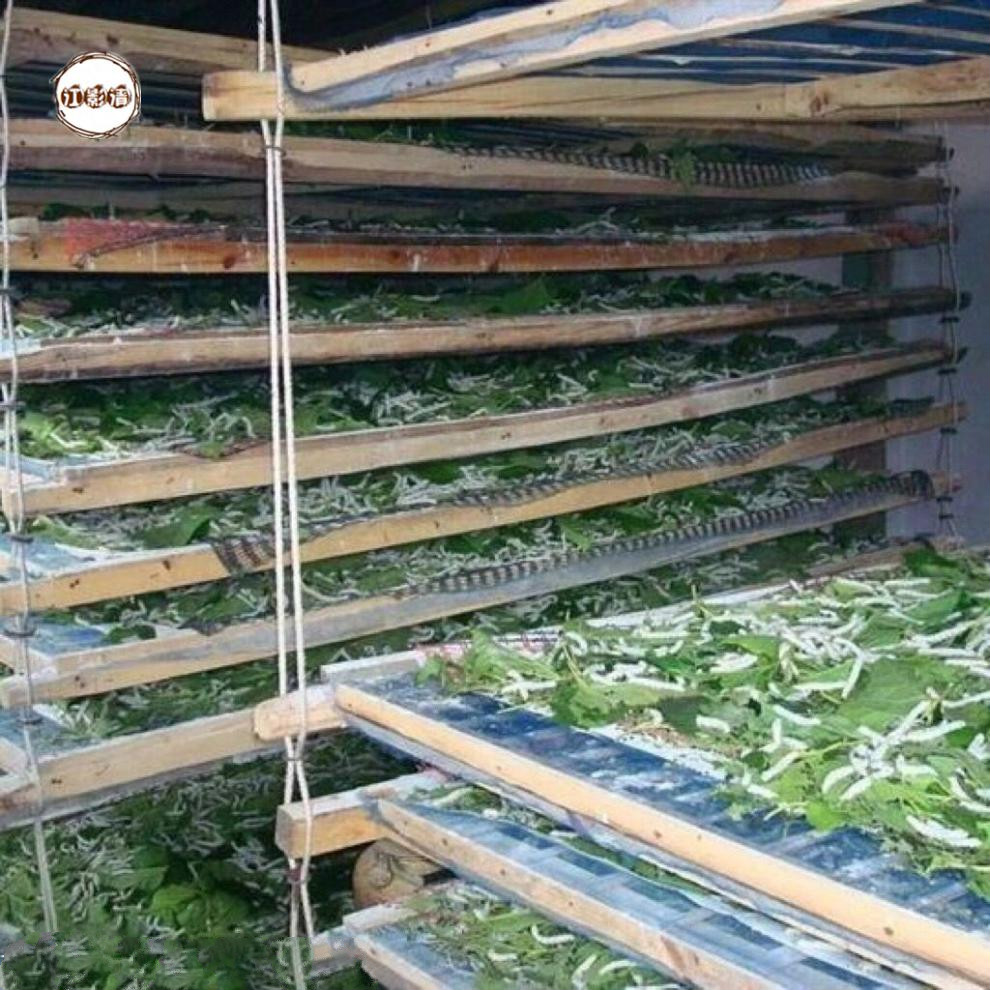 澳门最精准正最精准龙门蚕，详细解答、定量解答解释落实