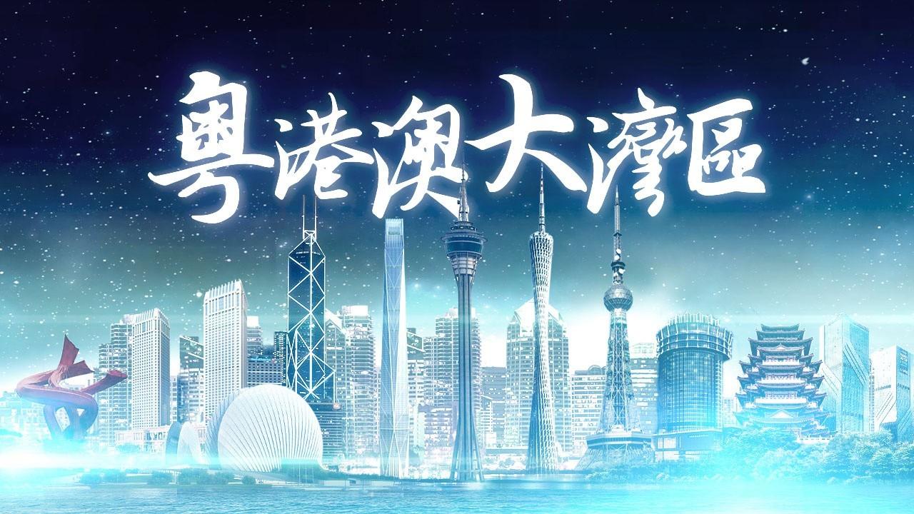 澳门全年免费资枓2025警惕虚假宣传、全面解答与解释、实时解答解释落实