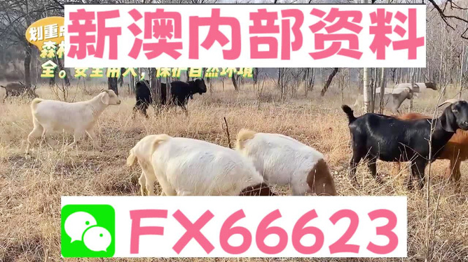 新澳2025今晚开奖资料四不像精选解析、解释与落实、前沿解答解释落实