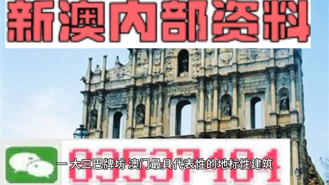 新澳全年免费资料大全，详细解答、深度解答解释落实