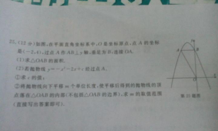 2025新澳门今晚开奖记录查询警惕虚假宣传、全面解答与解释、构建解答解释落实