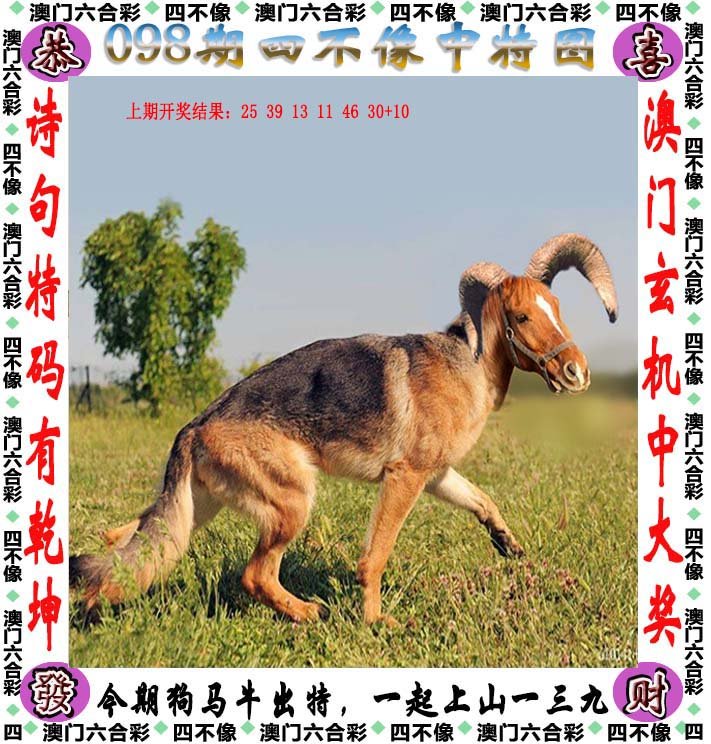 新澳2025今晚开奖资料四不像详细解答、解释与落实、综合解答解释落实