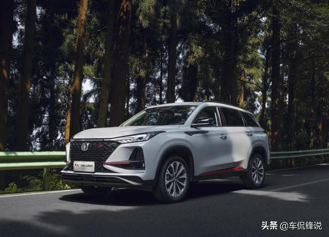 2025澳门天天开彩资料大全，详细解答、定量解答解释落实
