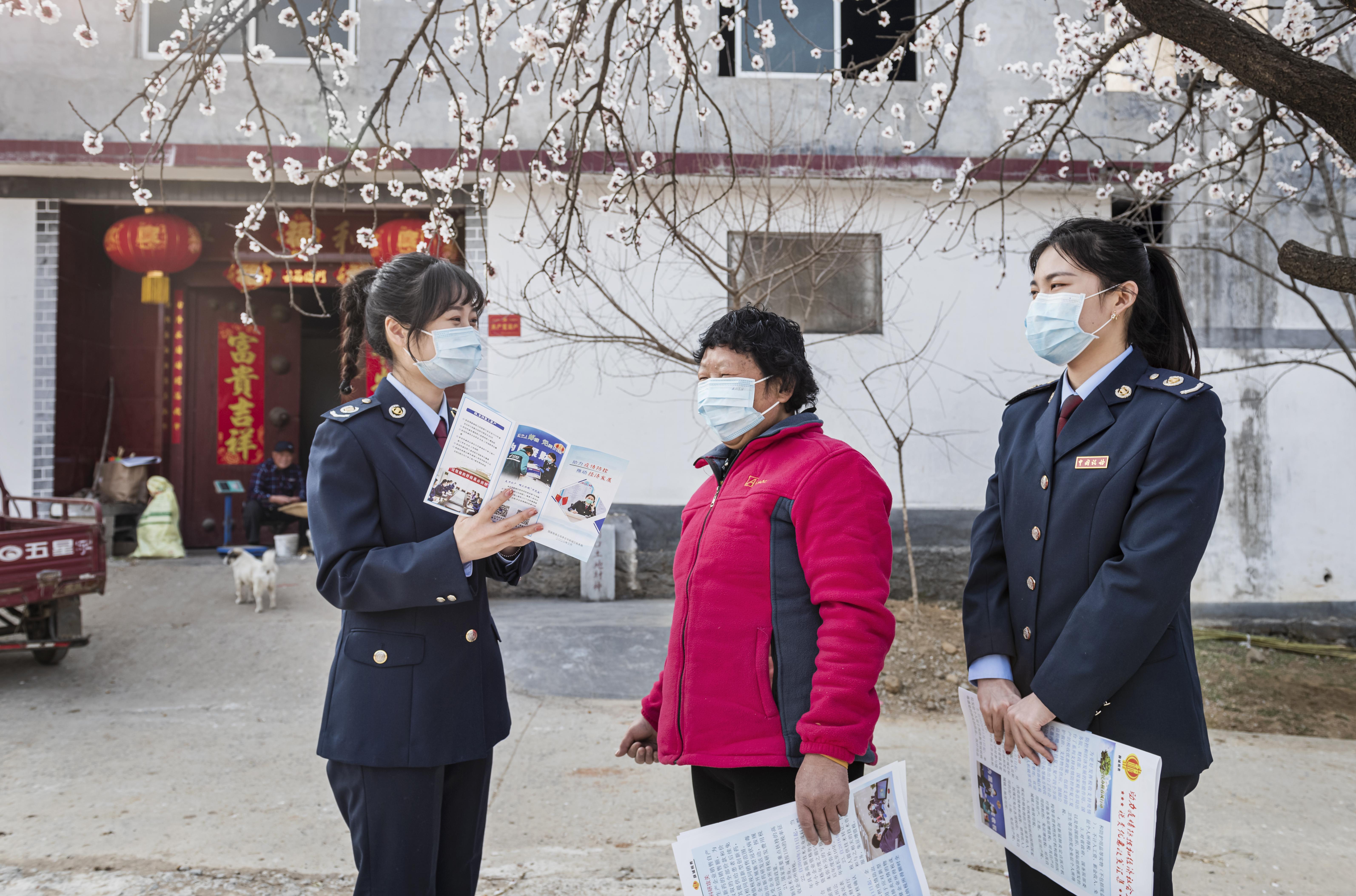 一肖一码一必中一肖详细解答、全面解答解释落实
