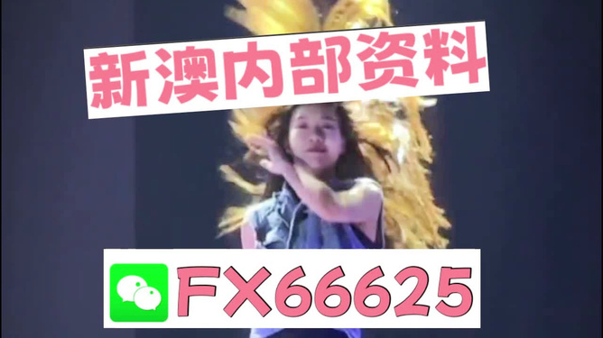 新澳门内部一码精准公开,警惕虚假宣传、全面解答、详细解答解释落实