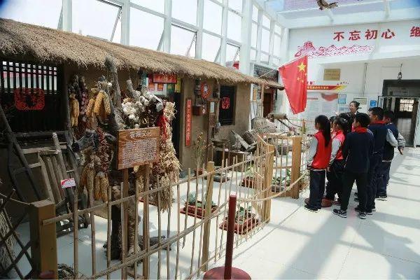 新澳门期期准，详细解答、构建解答解释落实