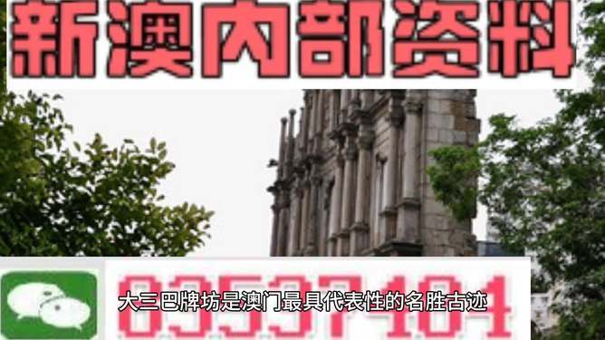 新澳门内部一码精准公开,警惕虚假宣传、全面解答、详细解答解释落实