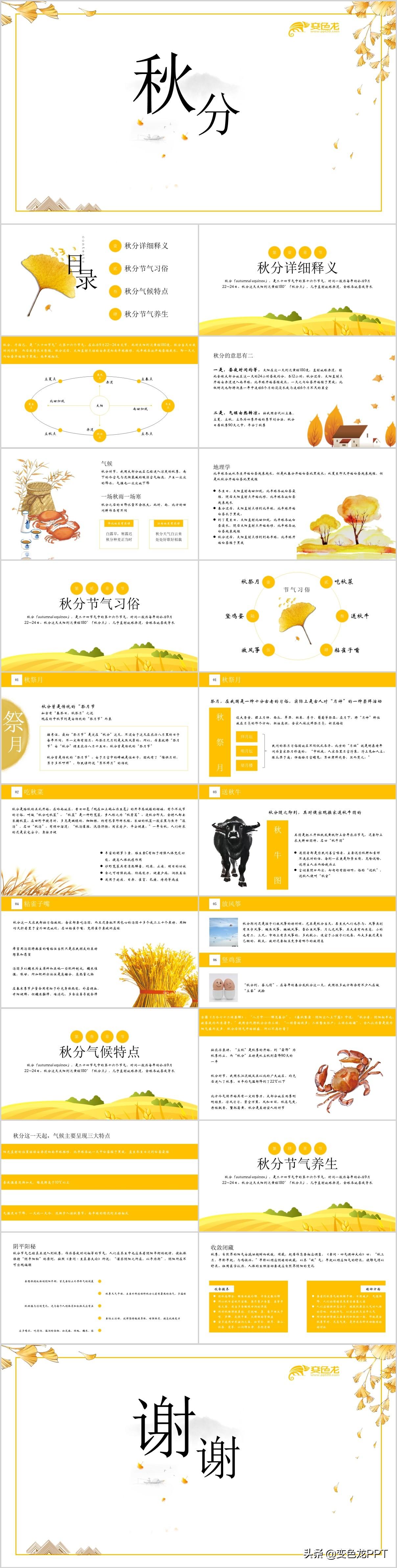 管家最准一码一肖100%与警惕虚假宣传-全面释义、深度解答解释落实