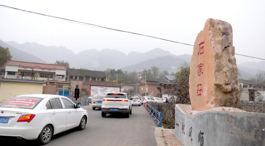 2025新澳一肖一码一中，详细解答、构建解答解释落实