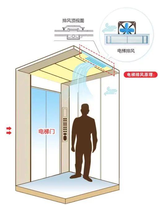 2025新澳门正版免费网站，详细解答、构建解答解释落实