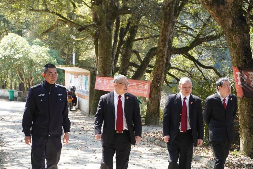新澳门王中王期期中，详细解答、构建解答解释落实