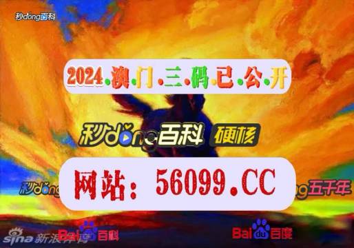 4949开奖免费资料澳门，详细解答、实时解答解释落实