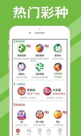 新澳天天开奖资料大全三中三，全面释义、定量解答解释落实