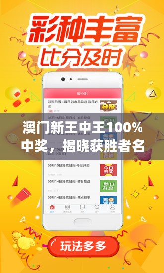 新澳门王中王100%期期中2025全面释义、综合解答解释落实
