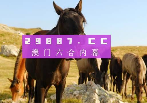 澳门跟香港管家婆100%精准全面释义、实时解答解释落实