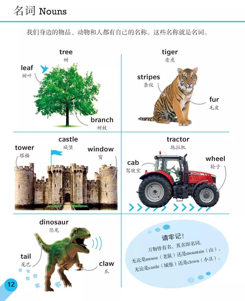 2025今晚澳门开什么码,警惕虚假宣传-全面释义、解释与落实、实时解答解释落实